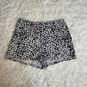 Leopard Stretchy Shorts
